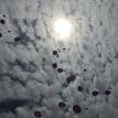 Ballon Sunday 2015